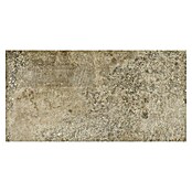Terrassenfliese Baldo 2.0 (39,7 x 79,7 x 2 cm, Beige/Braun, Matt) | BAUHAUS