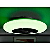 Voltomat Deckenventilator mit LED-Beleuchtung (Silber, Weiß, 60 cm, 40 W, Warmweiß) | BAUHAUS