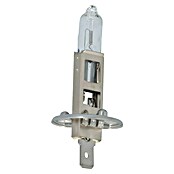 Carpoint Rem- en achterlichtlampen Longlife (H1) | BAUHAUS