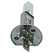 Carpoint Rem- en achterlichtlampen Longlife (H1) | BAUHAUS