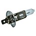 Carpoint Rem- en achterlichtlampen Longlife 