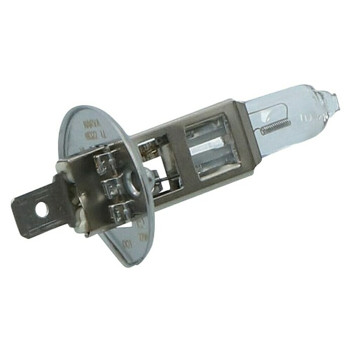 Carpoint Rem- en achterlichtlampen Longlife (H1) | BAUHAUS