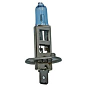 Carpoint Rem- en achterlichtlampen Superwhite (12 V, 1 st., H1) | BAUHAUS