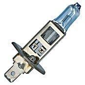 Carpoint Rem- en achterlichtlampen Superwhite (12 V, 1 st., H1) | BAUHAUS
