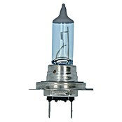 Carpoint Rem- en achterlichtlampen Superwhite (12 V, 1 st., H7) | BAUHAUS