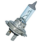 Carpoint Rem- en achterlichtlampen Superwhite (12 V, 1 st., H7) | BAUHAUS