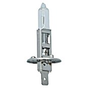 Carpoint Rem- en achterlichtlampen Ultrabright (H1) | BAUHAUS