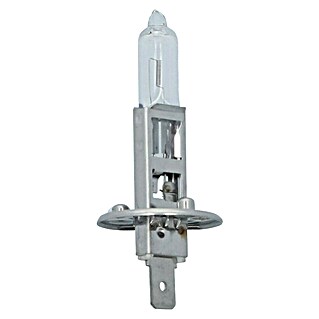 Carpoint Rem- en achterlichtlampen Ultrabright (12 V, 1 st., H1)