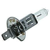 Carpoint Rem- en achterlichtlampen Ultrabright (H1) | BAUHAUS