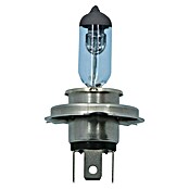 Carpoint Rem- en achterlichtlampen Superwhite (H4) | BAUHAUS