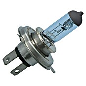 Carpoint Rem- en achterlichtlampen Superwhite (H4) | BAUHAUS