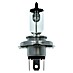 Carpoint Rem- en achterlichtlampen Ultrabright 