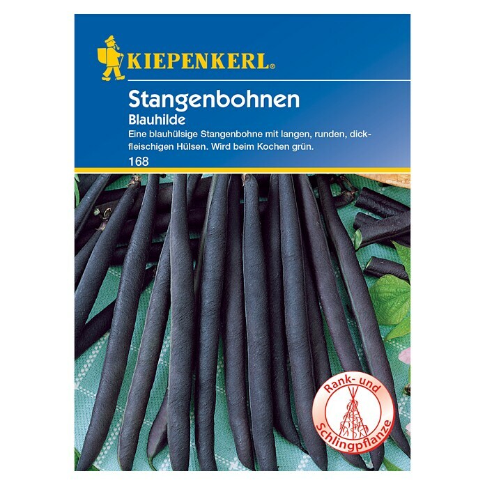 Kiepenkerl Gemüsesamen Stangenbohnen Blauhilde (Phaseolus vulgaris var. vulgaris, Saatzeit: Mai, Erntezeit: Juli)