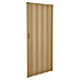 Puerta plegable 