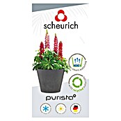 Scheurich Pflanztopf Purista+ (Außenmaß (Ø x H): 36,6 x 32,3 cm, Kunststoff, Betongrau, Mit Bewässerungssystem) | BAUHAUS