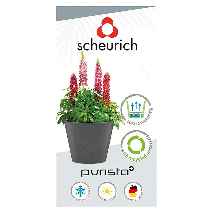 Scheurich Pflanztopf Purista+ - Außenmaß (Ø x H): 29,8 x 24 cm, Kunststoff, Carbonschwarz, Mit Bewässerungssystem - Produktbild eines grauen Scheurich Purista+ Blumentopfes mit einer blühenden Pflanze, der für Frost und UV-Strahlung resistent ist und recycelte Materialien enthält.