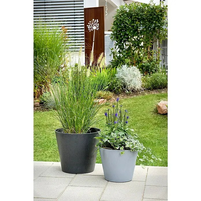 Scheurich Pflanztopf Purista+ - Außenmaß (Ø x H): 29,8 x 24 cm, Kunststoff, Carbonschwarz, Mit Bewässerungssystem - Zwei Pflanzgefäße in verschiedenen Größen und Farben, bepflanzt mit üppigen, grünen Pflanzen, die einen dekorativen Akzent im Garten setzen.