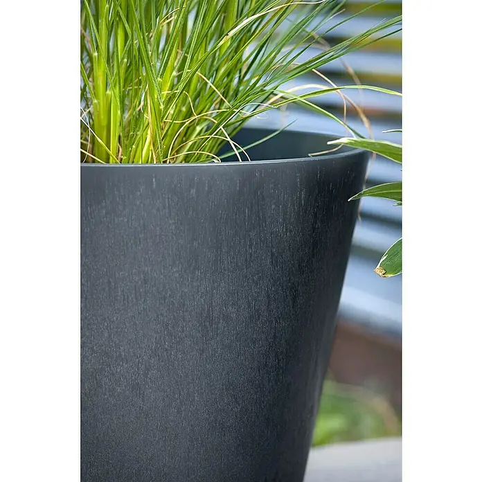 Scheurich Pflanztopf Purista+ - Außenmaß (Ø x H): 29,8 x 24 cm, Kunststoff, Carbonschwarz, Mit Bewässerungssystem - Nahaufnahme eines modernen, anthrazitfarbenen Pflanzgefäßes mit grünen Pflanzen, ideal für den stilvollen Außenbereich.