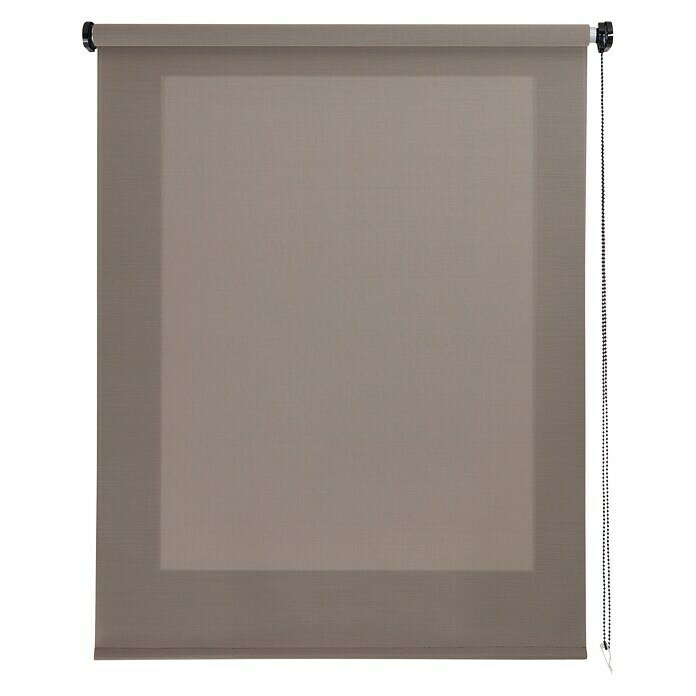 Estor enrollable Roll-up Screen (An x Al: 200 x 250 cm, Cappuccino)