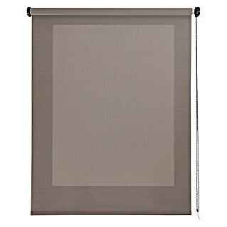Estor enrollable Roll-up Screen (An x Al: 140 x 250 cm, Cappuccino)