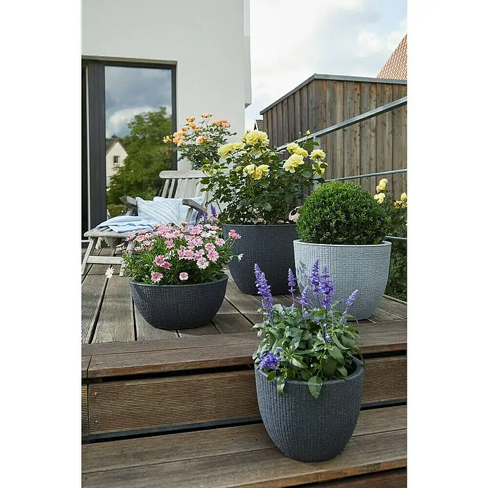 Scheurich Barceo Pflanztopf - Außenmaß (Ø x H): 29 x 22 cm, Kunststoff, Granitschwarz - Eine Nahaufnahme von verschiedenen Blumen, die in dekorativen Blumentöpfen auf einer Holzterrasse angeordnet sind und eine gemütliche Atmosphäre schaffen.
