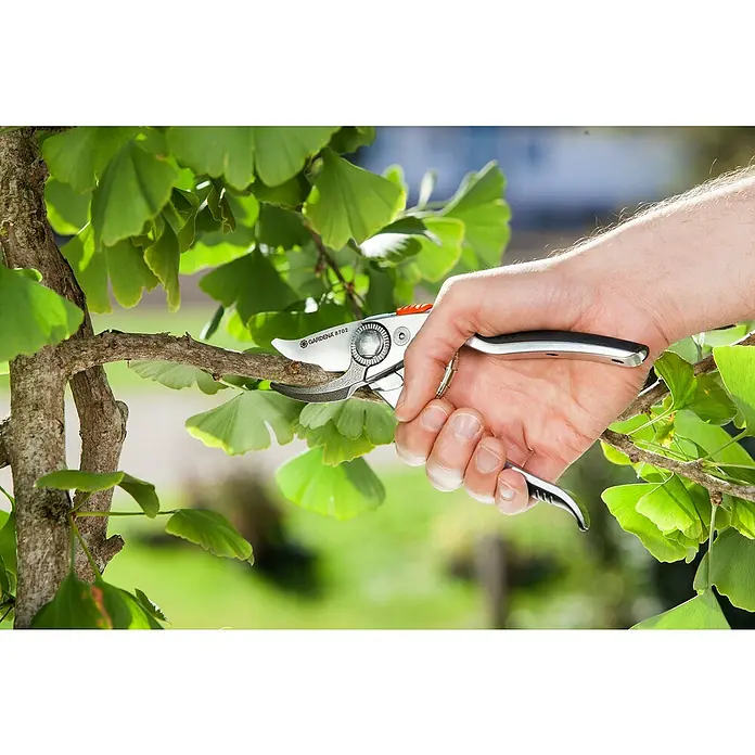 Gardena Gartenschere Alu B+/L - Bypass, Max. Aststärke: 22 mm - Eine Hand benutzt eine Gardena 8702 Gartenschere, um einen Ast eines Ginkgo-Baums zu schneiden, wobei die grüne Umgebung sichtbar ist.