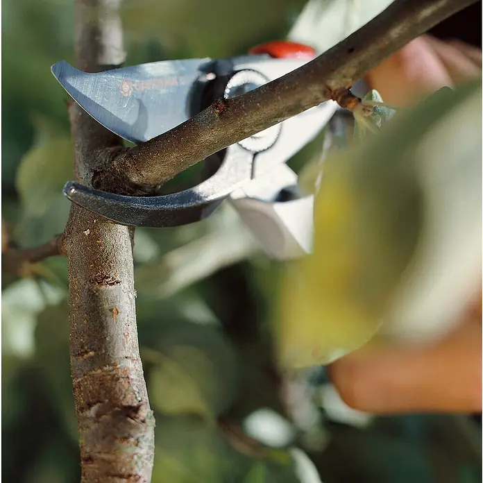 Gardena Gartenschere Alu B+/L - Bypass, Max. Aststärke: 22 mm - Die Gardena-Gartenschere schneidet einen Ast sauber ab, ideal für präzise Gartenarbeit und Baumpflege.