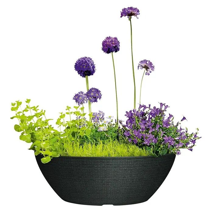 Scheurich Barceo Pflanzschale rund - Außenmaß (L x B x H): 58,5 x 23,7 x 19,5 cm, Kunststoff, Granitschwarz, Oval - Ein schwarzer Pflanztopf mit einer Vielzahl von Pflanzen und Blumen, darunter grüne, lavendelfarbene und violette Sorten.