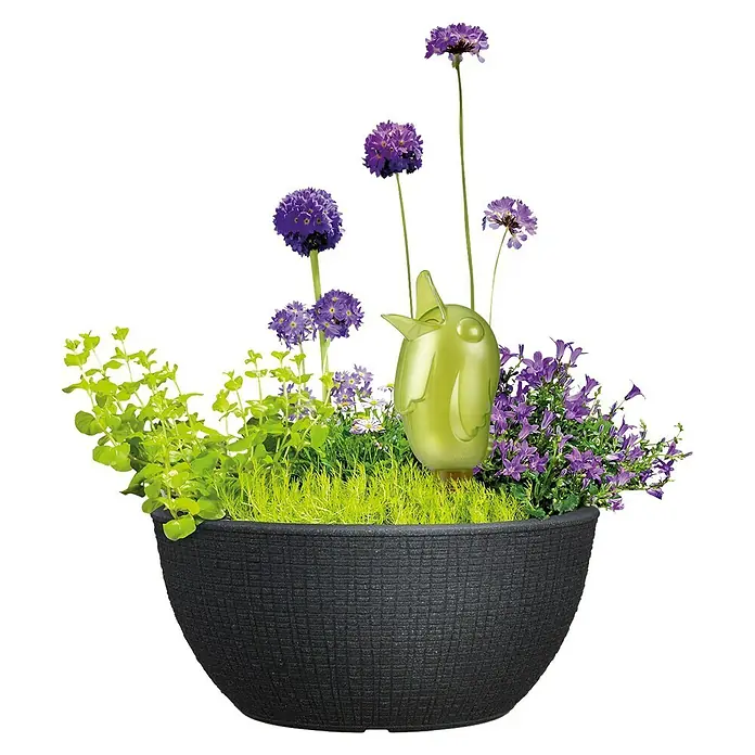 Scheurich Pflanzschale rund Barceo - Außenmaß (Ø x H): 39 x 18 cm, Kunststoff, Granitschwarz, Rund - Ein Pflanzgefäß mit einer skurrilen Vogel-Bewässerungsanlage, umgeben von üppigem Grün und lila Blüten, vor einem schwarzen Hintergrund.