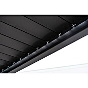Sorara Pergola Mirador Classic (B x T: 300 x 600 cm, Farbe Gestell: Anthrazit, Aluminium) | BAUHAUS