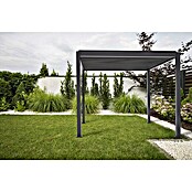 Sorara Pergola Mirador Classic (B x T: 300 x 400 cm, Farbe Gestell: Anthrazit, Aluminium) | BAUHAUS