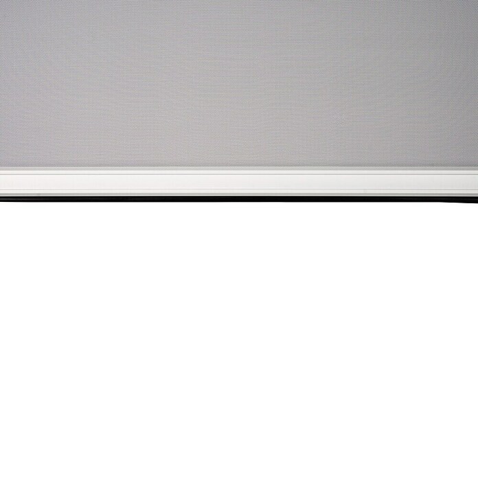 Sorara Seitenelement Rollo Solid & Basic (300 cm, Weiß) | BAUHAUS