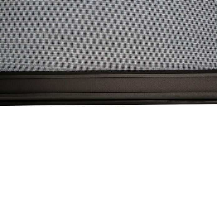 Sorara Seitenelement Rollo Solid & Basic (360 cm, Anthrazit) | BAUHAUS