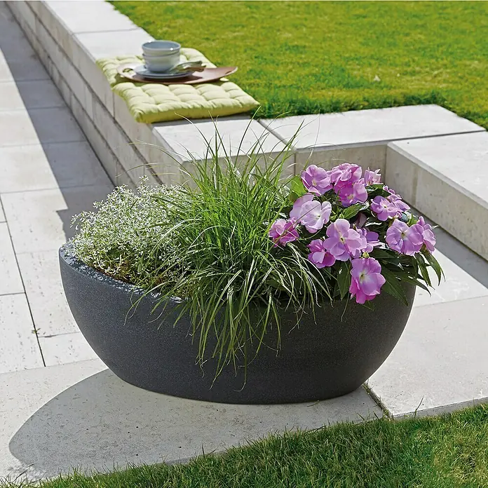 Scheurich Pflanzschale rund Wave Globe - Außenmaß (L x B x H): 58 x 24,1 x 23 cm, Kunststoff, Schwarz granit - Eine Nahaufnahme eines mit Blumen bepflanzten, ovalen Pflanzkübels in einem Garten, der durch seine Vielseitigkeit besticht.