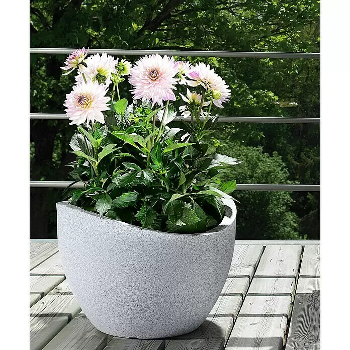 Scheurich Wave Globe Pflanztopf - Außenmaß (Ø x H): 39,5 x 29,3 cm, Kunststoff, Steingrau - Stimmungsaufnahme