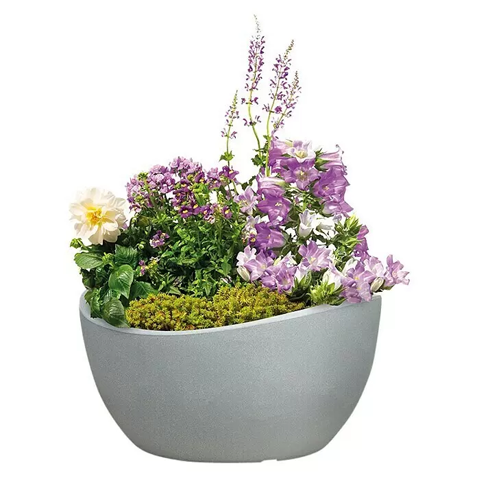 Scheurich Pflanzschale rund Wave GlobeAußenmaß (Ø x H): 39,3 x 21 cm, Kunststoff, Steingrau