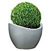 Scheurich Wave Globe Pflanztopf Wave Globe (Außenmaß (Ø x H): 39,5 x 29,3 cm, Kunststoff, Steingrau) | BAUHAUS