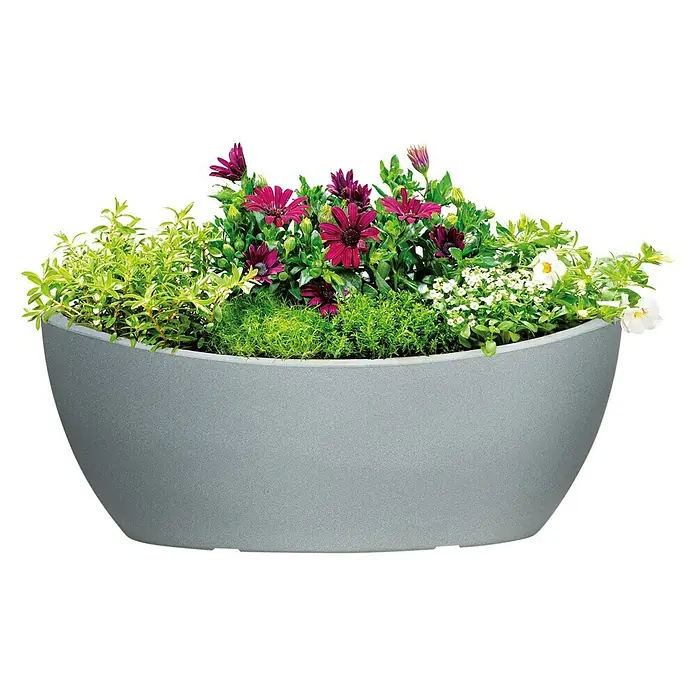 Scheurich Pflanzschale rund Wave Globe - Außenmaß (L x B x H): 58 x 24,1 x 23 cm, Kunststoff, Steingrau - Grauer Pflanzkübel mit verschiedenen bunten Blumen. Der Kübel hat eine ovale Form und ist mit lila, weißen und grünen Pflanzen bepflanzt.