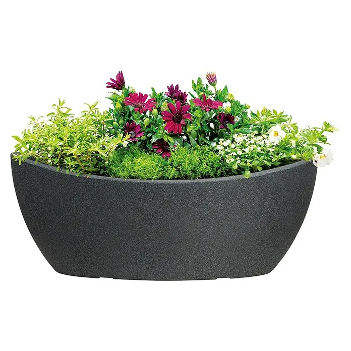 Scheurich Pflanzschale rund Wave Globe - Außenmaß (L x B x H): 58 x 24,1 x 23 cm, Kunststoff, Schwarz granit - Attraktiver Pflanzkübel in Anthrazit, bepflanzt mit einer Vielfalt an bunten Blumen und Grünpflanzen. Ideal für Garten, Terrasse oder Balkon.