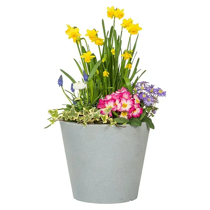 Scheurich Pflanztopf C-ConeAußenmaß (Ø x H): 28,5 x 24,3 cm, Kunststoff, Betongrau