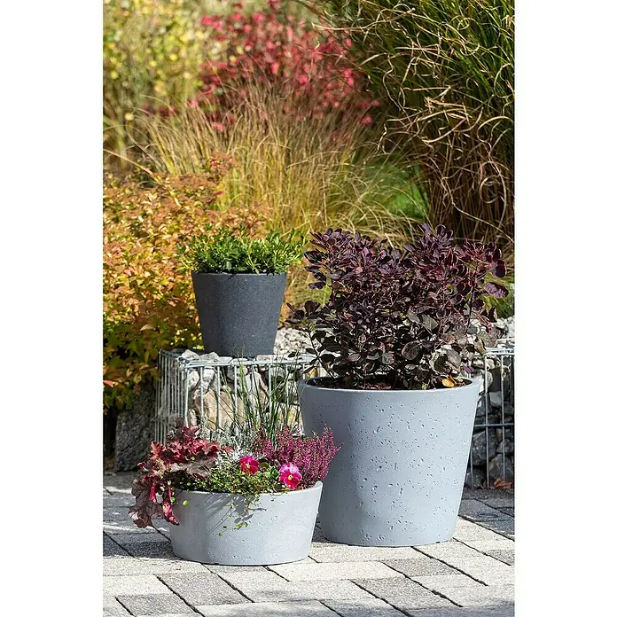 Scheurich Pflanztopf C-Cone - Außenmaß (Ø x H): 47,4 x 39,4 cm, Kunststoff, Betongrau - Pflanzgefäße aus Beton mit bunten Pflanzen und Gräsern in verschiedenen Größen für den Garten oder die Terrasse.