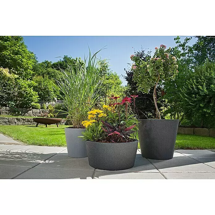 Scheurich Pflanztopf C-Cone - Außenmaß (Ø x H): 38,6 x 33,2 cm, Kunststoff, Schwarz - Drei graue Pflanzgefäße mit verschiedenen Pflanzen auf einer Terrasse im Garten.