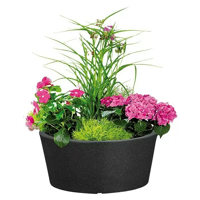 Scheurich Pflanzschale rund C-Cone - Außenmaß (Ø x H): 39 x 17,5 cm, Kunststoff, Schwarz - Schwarzer strukturierter Pflanzkübel, gefüllt mit rosa Blumen und grünen Pflanzen.
