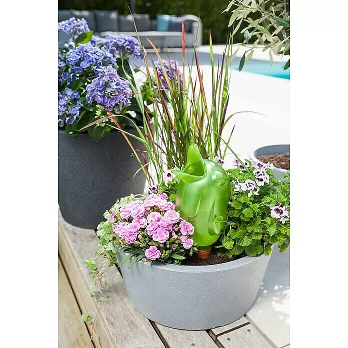 Scheurich Pflanzschale rund C-Cone - Außenmaß (Ø x H): 39 x 17,5 cm, Kunststoff, Betongrau - Großer grauer Pflanzkübel mit bunten Blumen, Ziergräsern und grüner Gießkugel auf Holzterrasse.