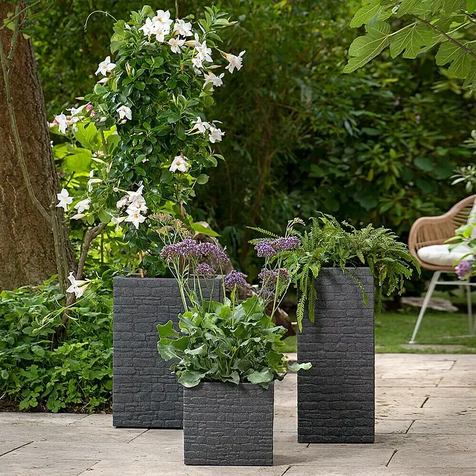 Scheurich Muretto Pflanzkasten - Außenmaß (L x B x H): 28,5 x 28,5 x 27 cm, Kunststoff, Schwarz - Drei graue Pflanzgefäße in verschiedenen Höhen mit Bepflanzung im Garten. Die robusten Töpfe bieten viel Platz für Pflanzen.