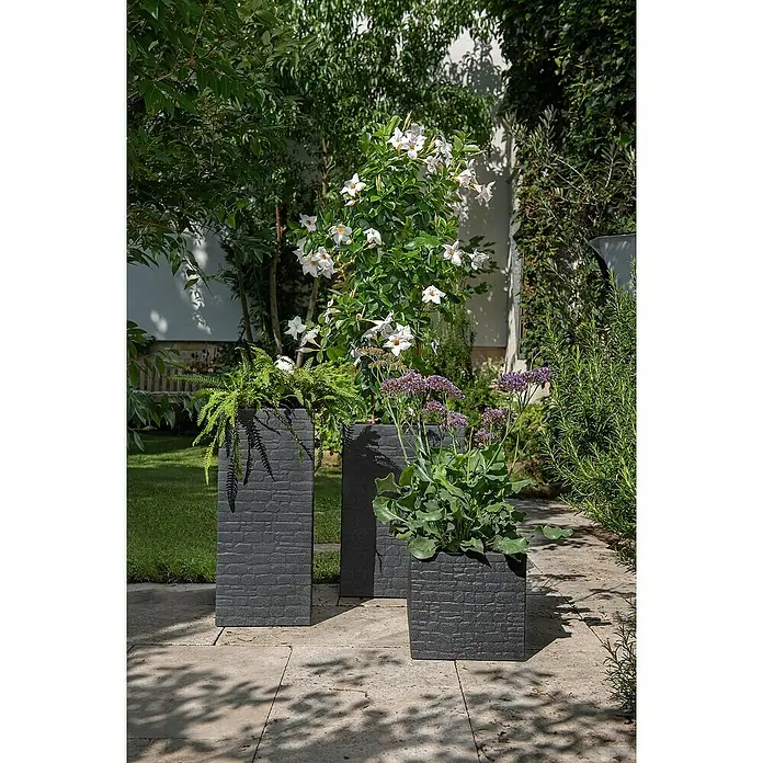 Scheurich Muretto Pflanzkasten - Außenmaß (L x B x H): 28,5 x 28,5 x 27 cm, Kunststoff, Schwarz - Drei strukturierte Pflanzgefäße in verschiedenen Größen mit üppigen Pflanzen darauf, die einen Hauch von Grün und Eleganz in jeden Außenbereich bringen.