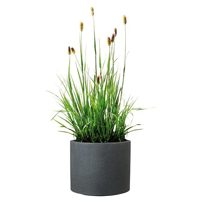 Scheurich Riva Pflanztopf - Außenmaß (Ø x H): 28,8 x 24,3 cm, Kunststoff, Granitschwarz - Dekorative Grasbüschel mit braunen Blütenständen in einem dunklen Zementtopf, ideal für die Innendekoration.
