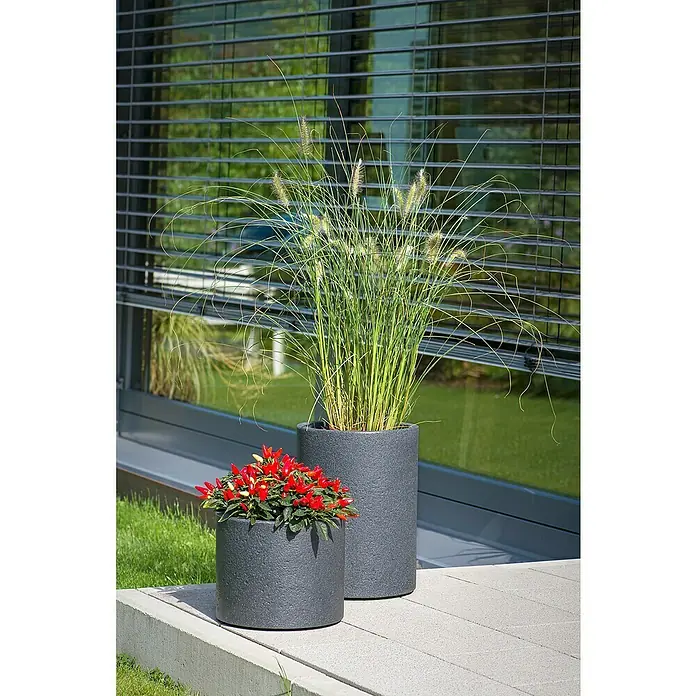 Scheurich Riva Pflanzsäule rund - Außenmaß (Ø x H): 38,5 x 53,4 cm, Kunststoff, Granitschwarz - Zwei graue Pflanzgefäße mit Pflanzen, ein kleineres mit roten Chilis und ein größeres mit Ziergras, stehen vor einer Fensterfassade.