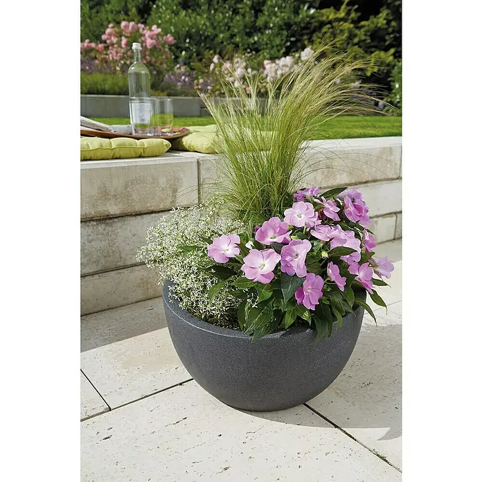Scheurich Pflanzschale rund Wave Globe - Außenmaß (Ø x H): 39,3 x 21 cm, Kunststoff, Schwarz granit - Ein runder, anthrazitfarbener Pflanztopf mit einer bunten Mischung aus rosa Impatiens, zartem Schleierkraut und Ziergras.