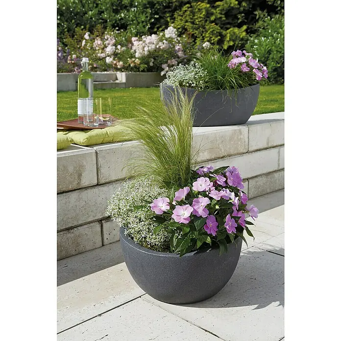 Scheurich Pflanzschale rund Wave Globe - Außenmaß (Ø x H): 39,3 x 21 cm, Kunststoff, Schwarz granit - Ein grauer Pflanzkübel mit lila Blumen und grünem Gras, der eine natürliche und stilvolle Dekoration für den Außenbereich bietet.